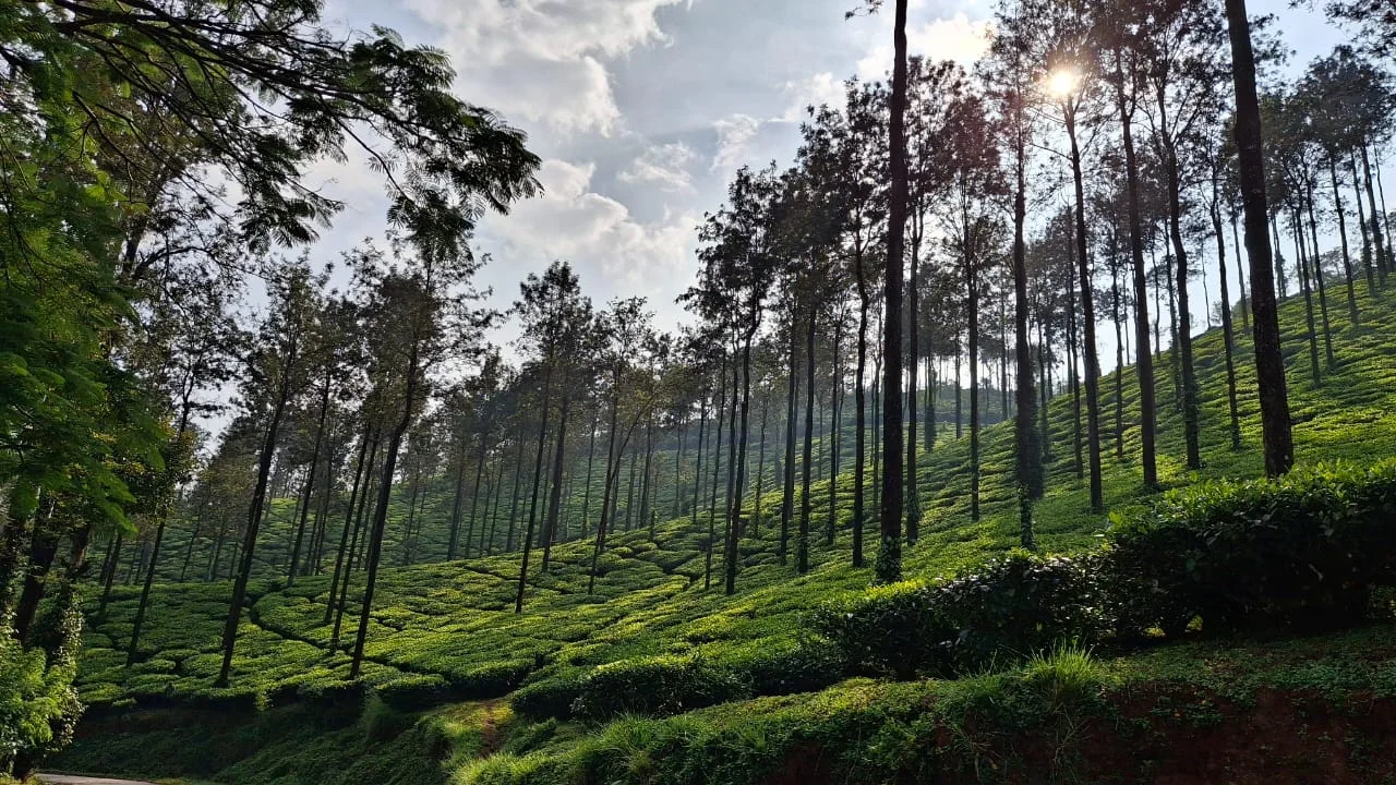 Bangalore to Chikkamagalur Cab Package