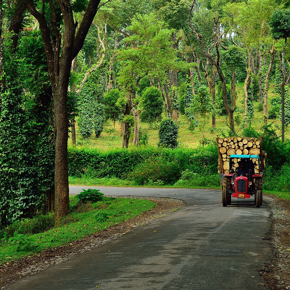 Bangalore to Coorg (Madikeri) Cab Package