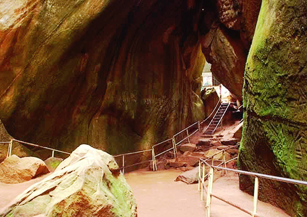 Bangalore – Mysore – Wayanad Cab Package