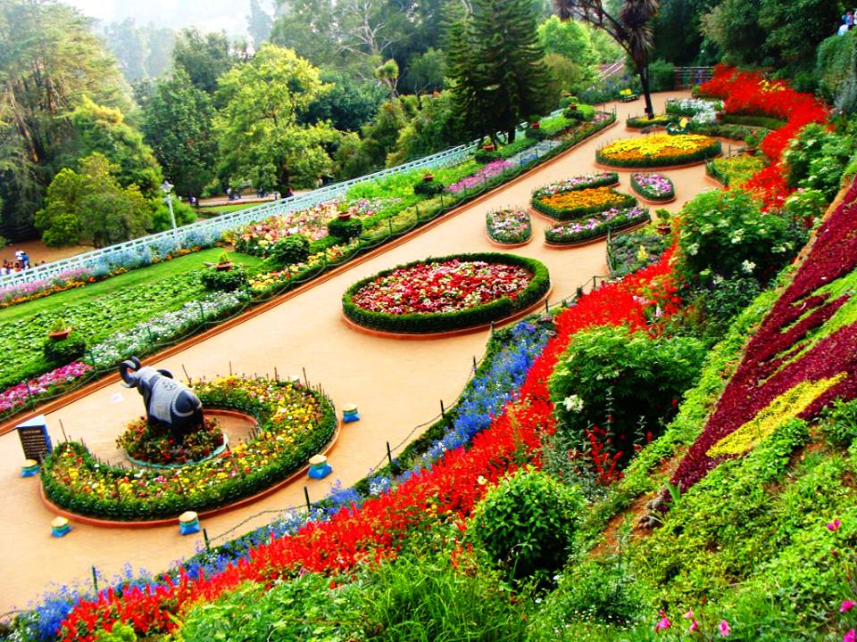 Bangalore to Ooty Cab Package